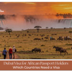 African passport Dubai visa application process