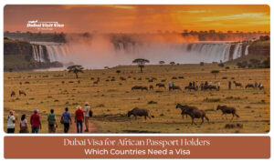 African passport Dubai visa application process