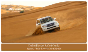 Tourists enjoying a Dubai desert safari with dune bashing, camel rides, and golden sand dunes at sunset.
