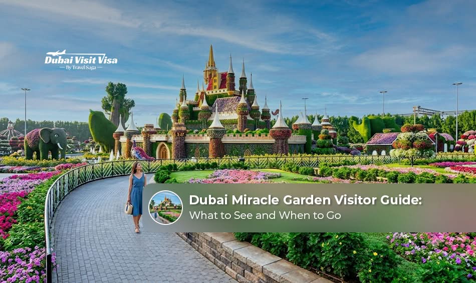 Dubai Miracle Garden visitor guide with colourful floral displays.