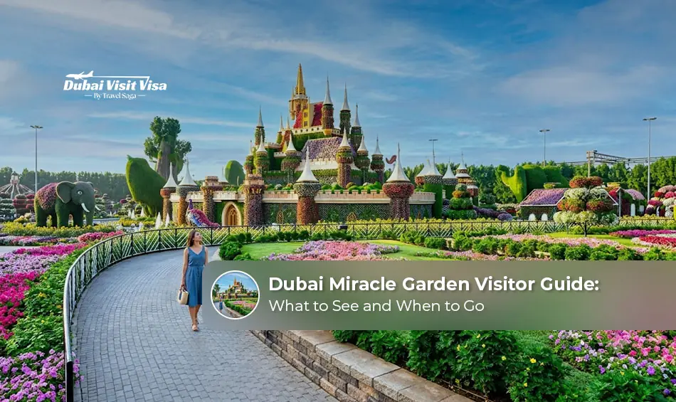 Dubai Miracle Garden visitor guide with colourful floral displays.
