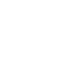 Dubai-Based Visa Assistance