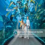 Dubai Aquarium and Underwater Zoo Guide.