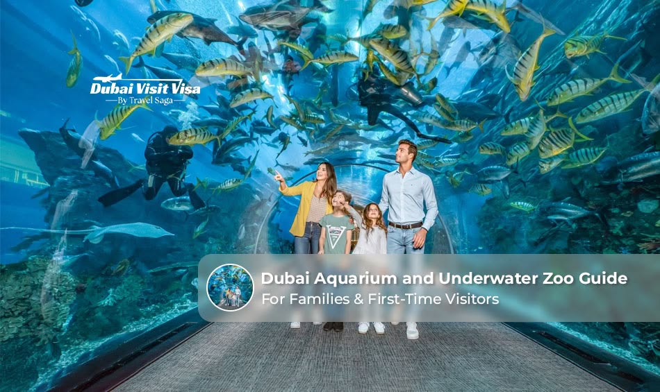 Dubai Aquarium and Underwater Zoo Guide.